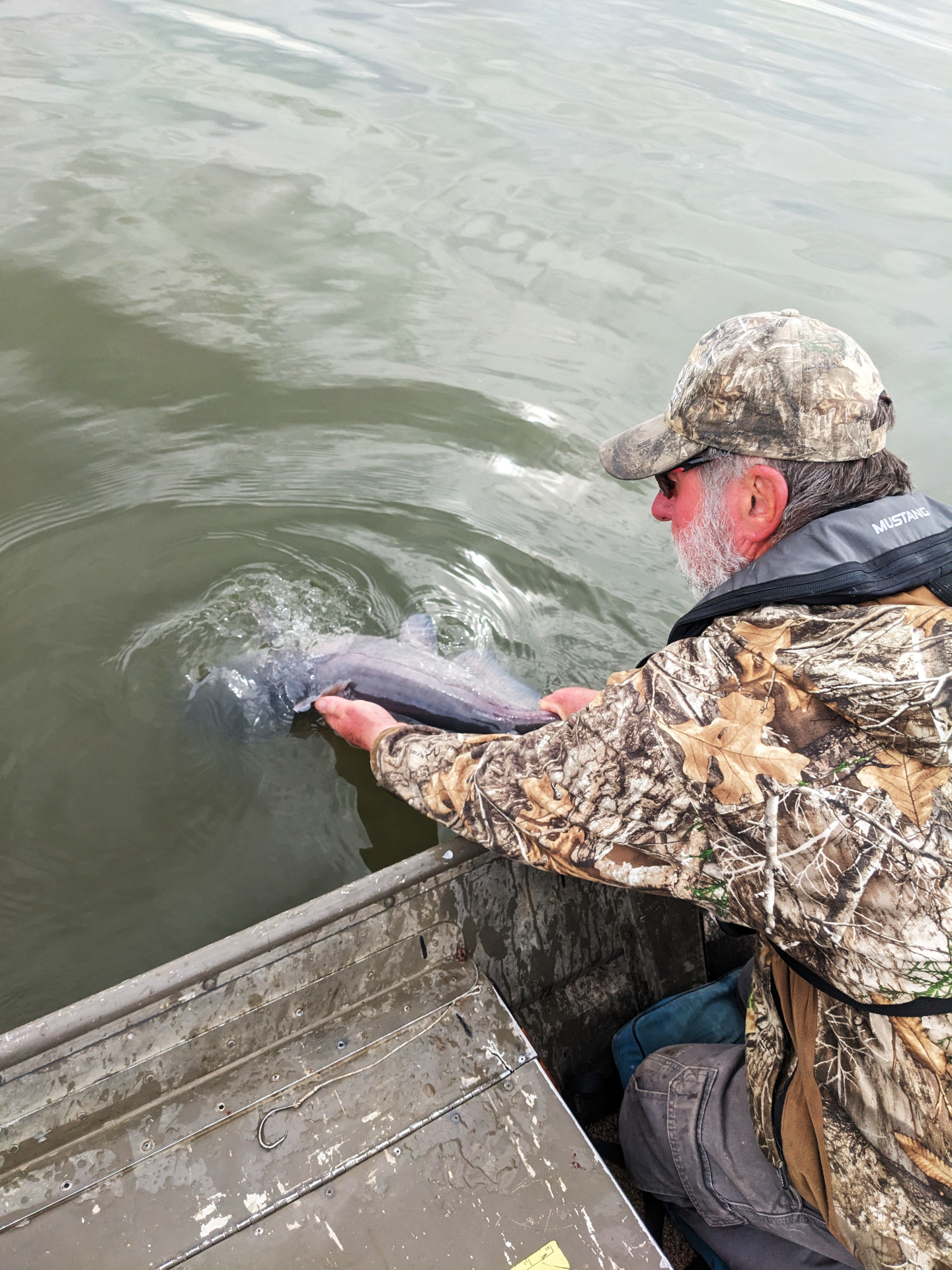 Catfish release-6-s.jpg