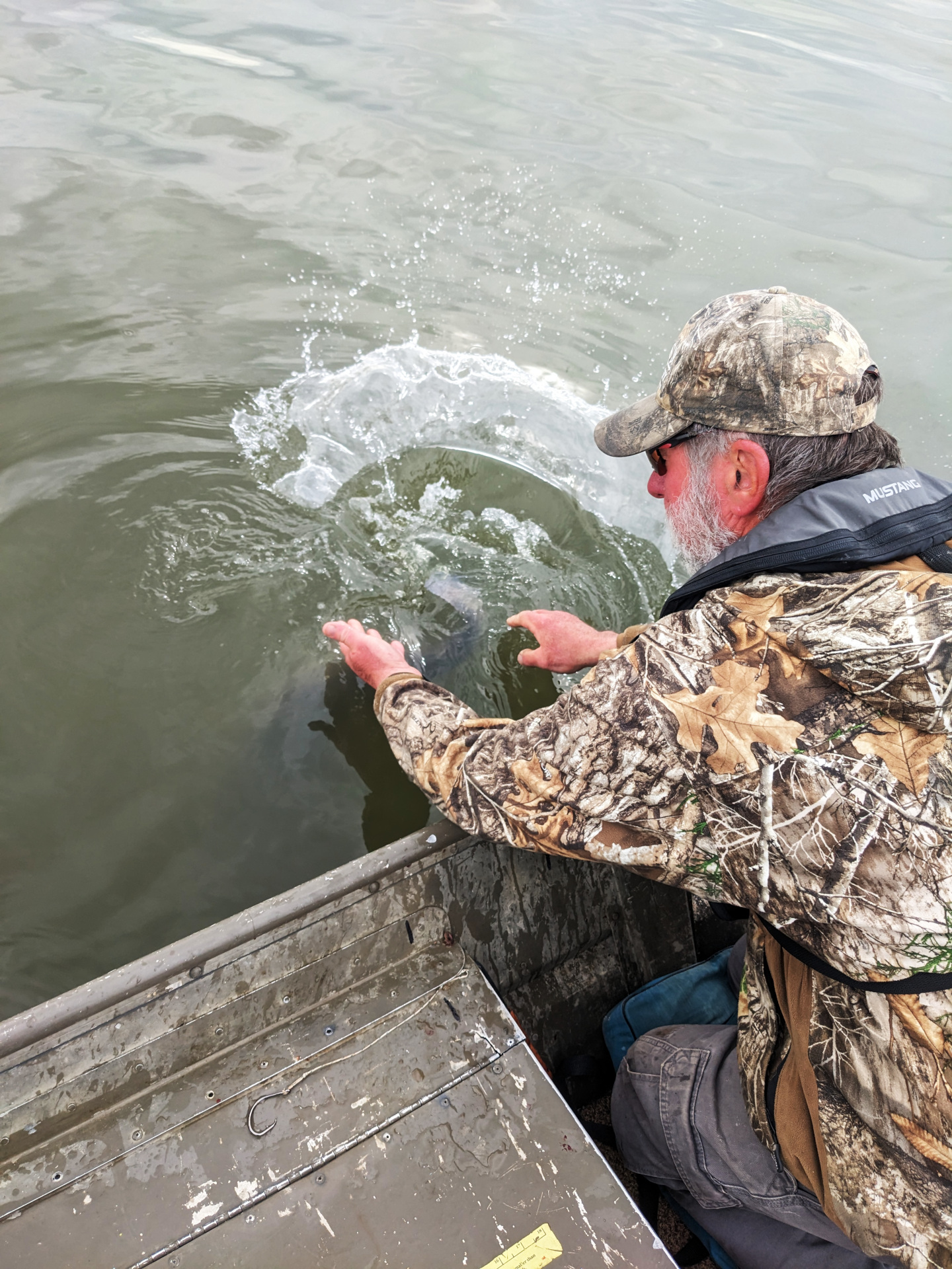 Catfish release-7-s.jpg