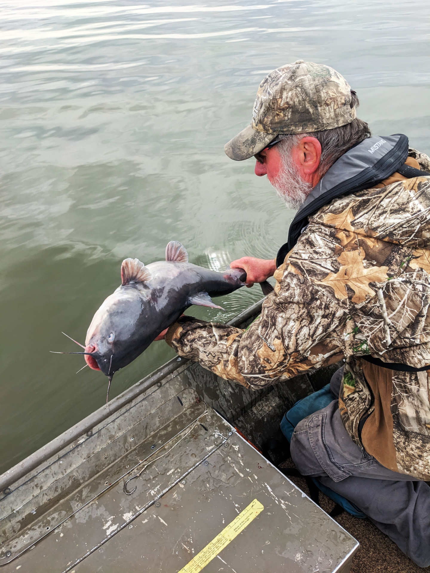 Catfish release-2-s.jpg