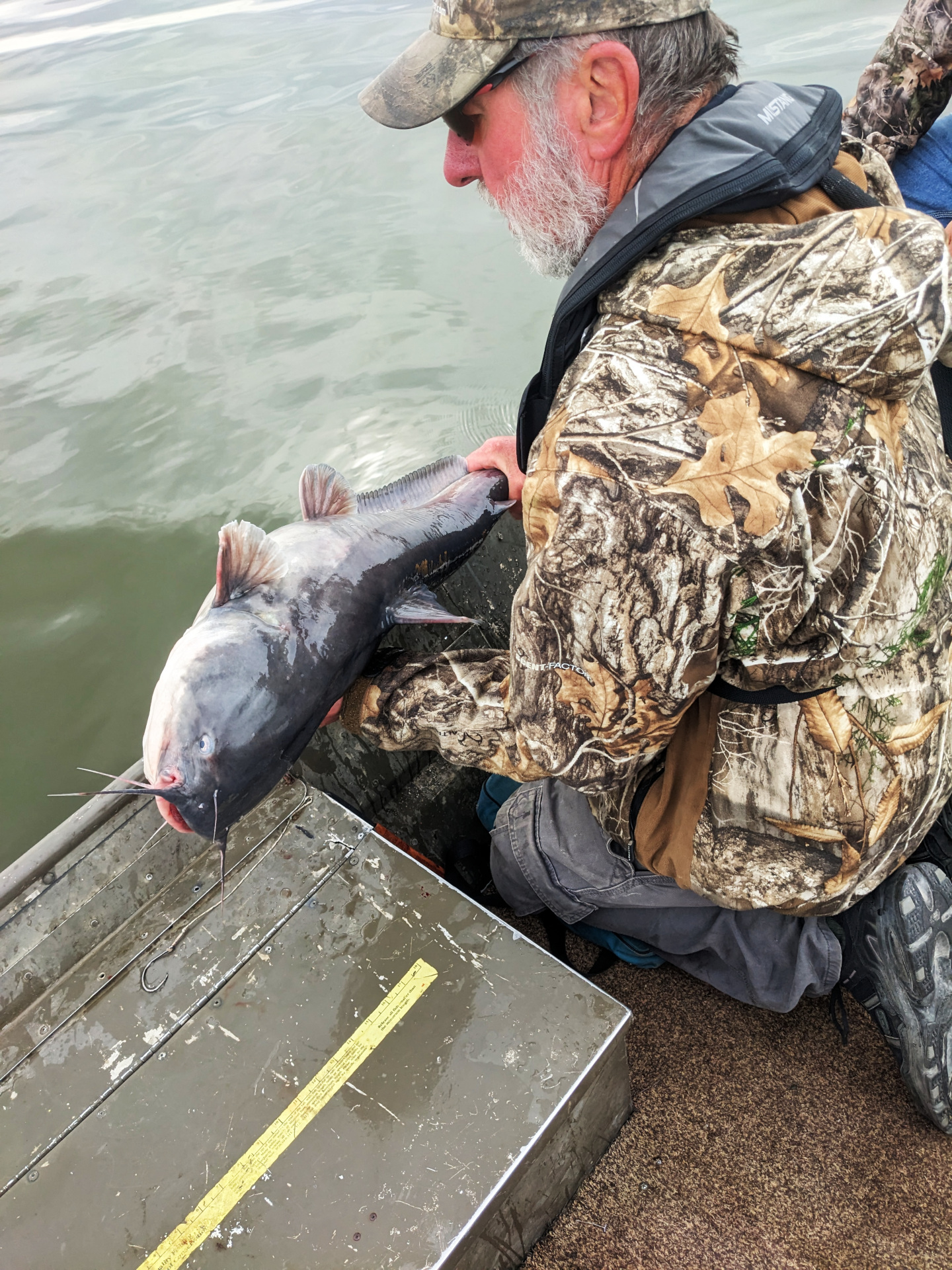 Catfish release-1-s.jpg