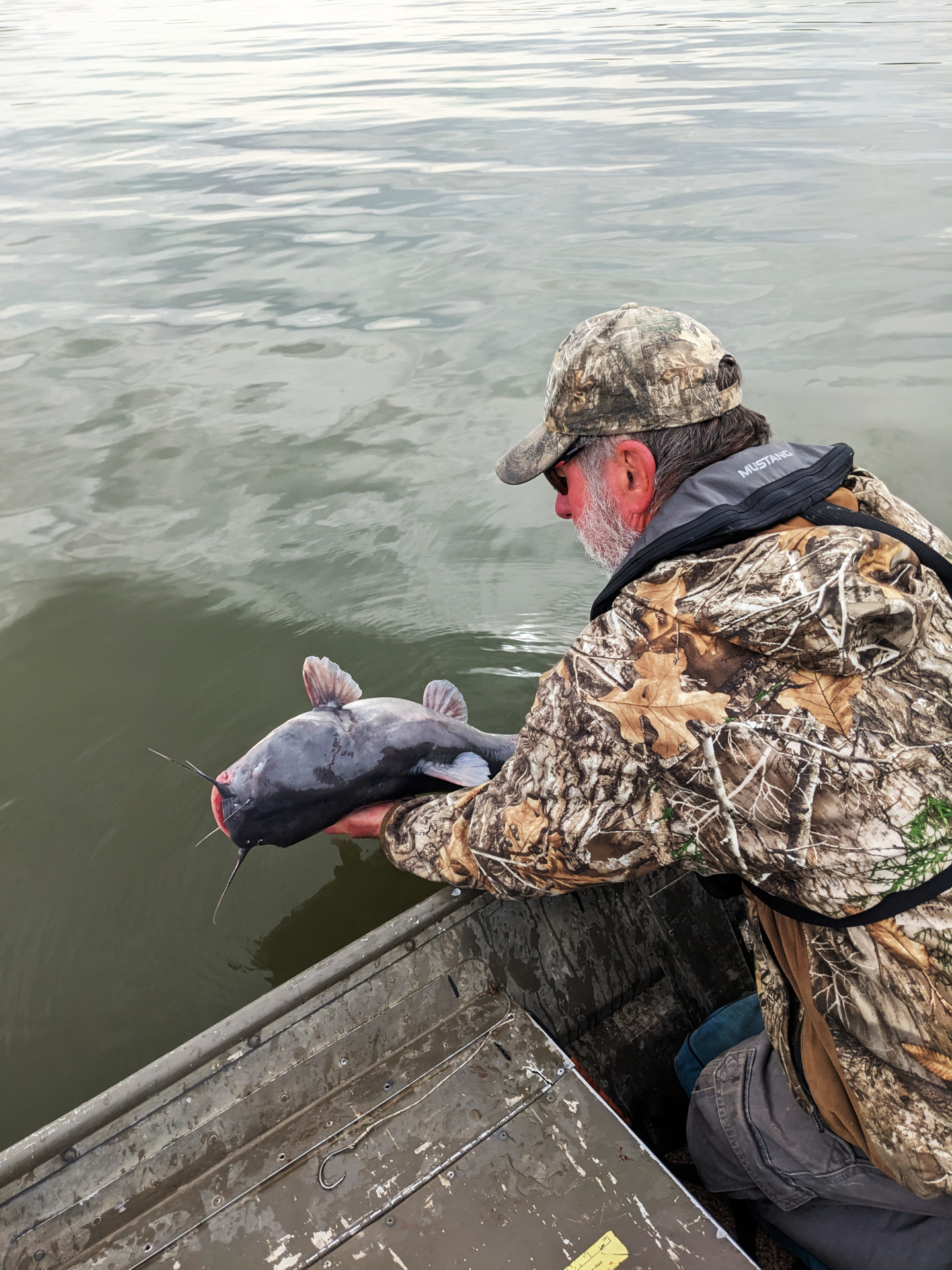 Catfish release-4-s.jpg